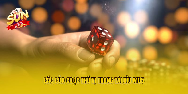 Các cửa cược thú vị trong tài xỉu MD5