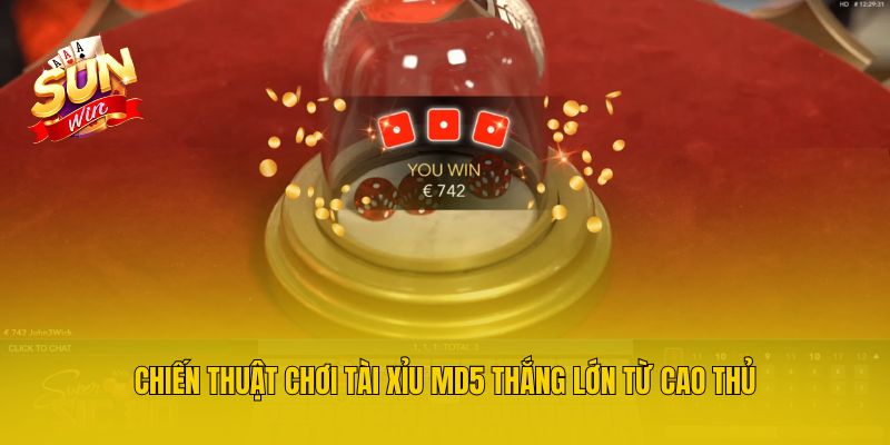 Chiến thuật chơi tài xỉu MD5 thắng lớn từ cao thủ