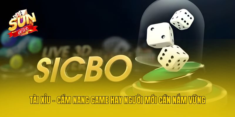 Tài Xỉu - Cẩm Nang Game Hay Người Mới Cần Nắm Vững