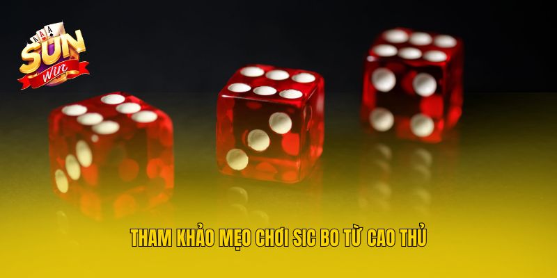 Tham khảo mẹo chơi Sic Bo từ cao thủ